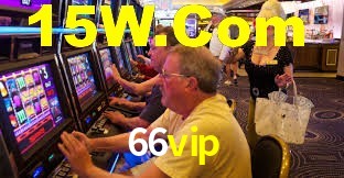 66vip